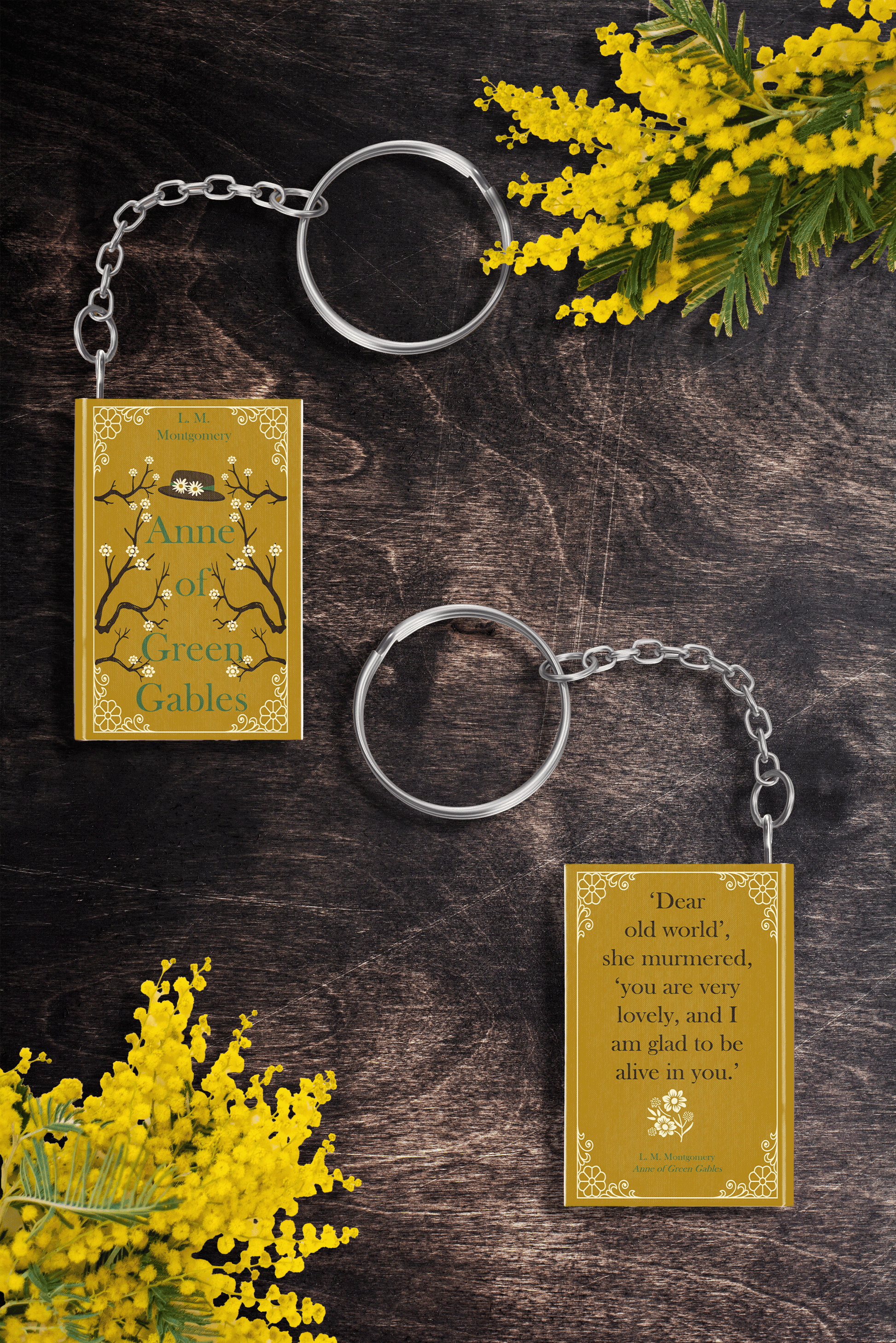 anne of green gables book accessory