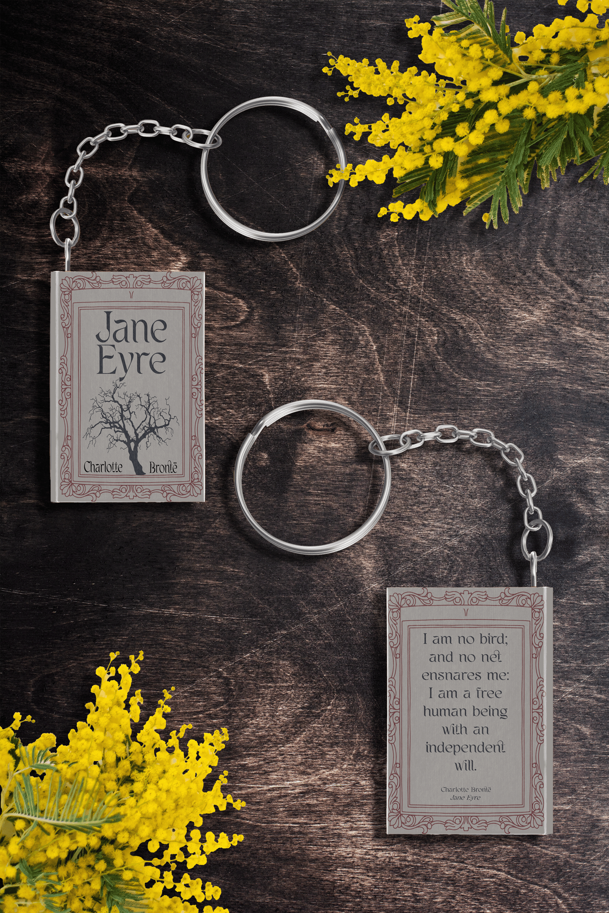 jane eyre book accessory