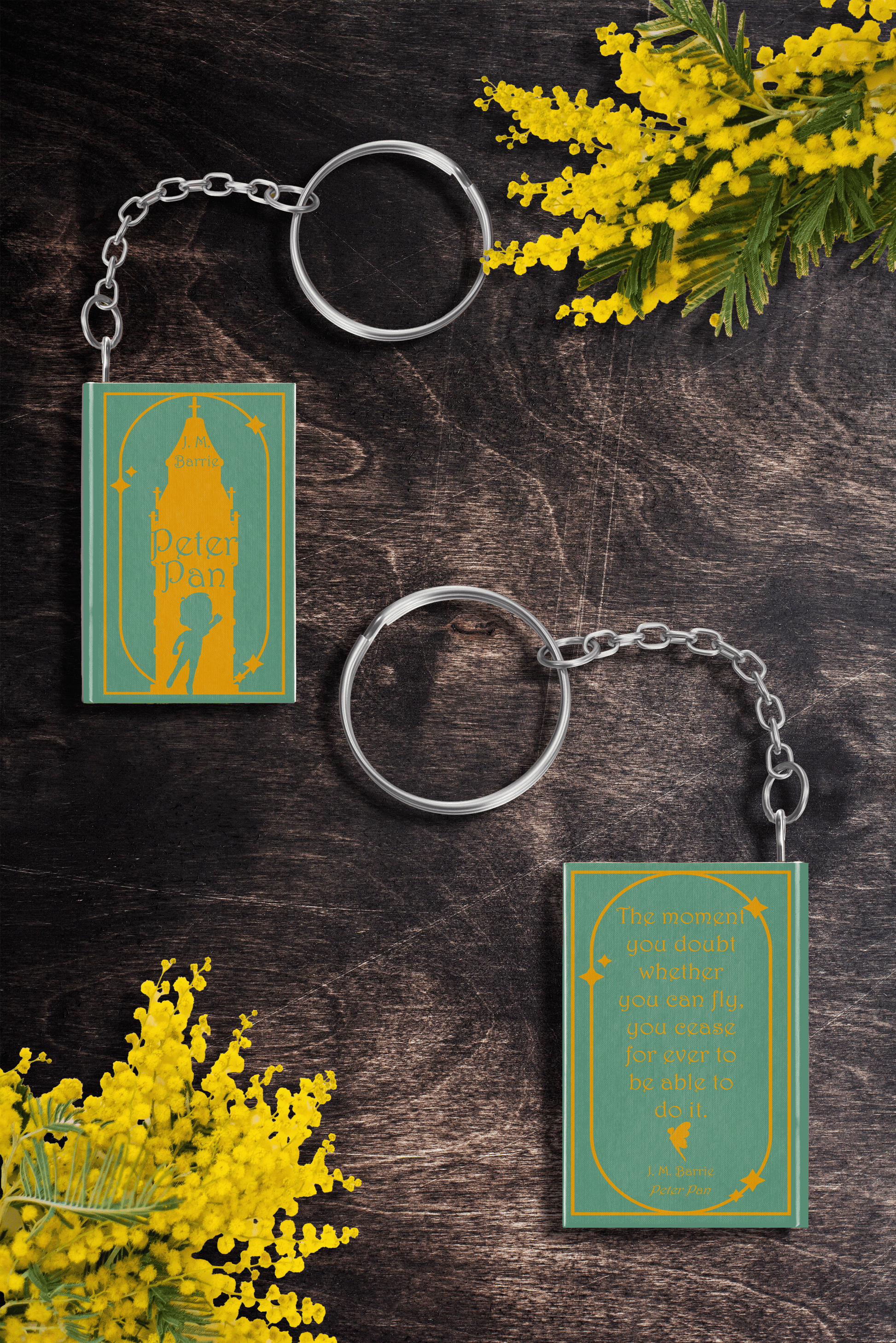 peter pan book accessory